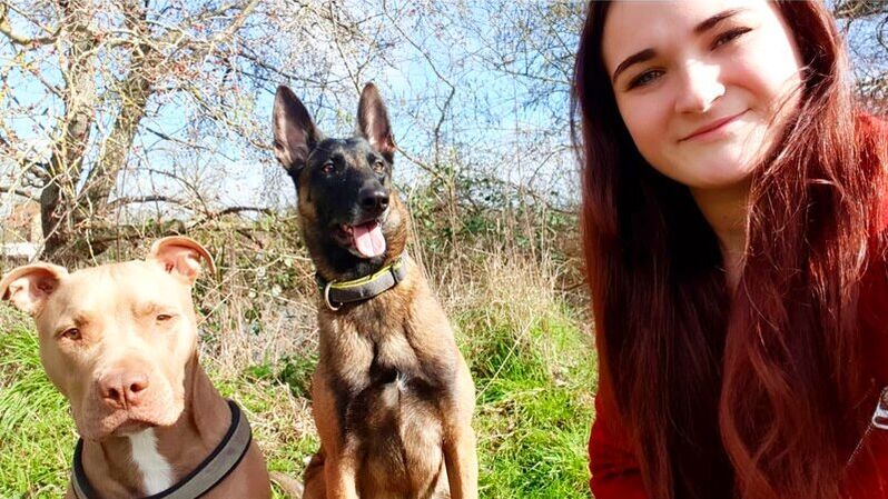 education canine annecy